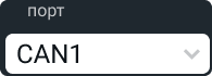 порт_can.png